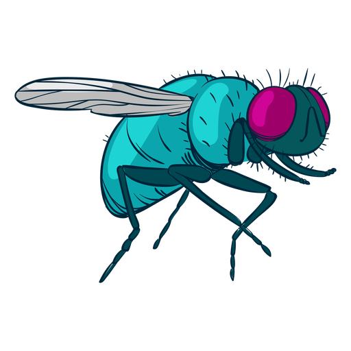 House fly illustration PNG Design