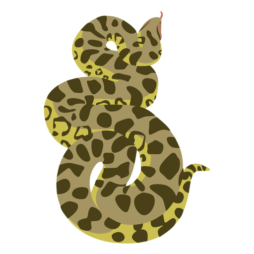 Cobra piton plana Desenho PNG