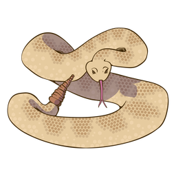 Diseño plano Rattllesnake Diseño PNG