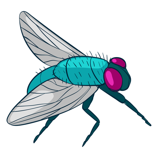 Ilustración de mosca de vista lateral Diseño PNG