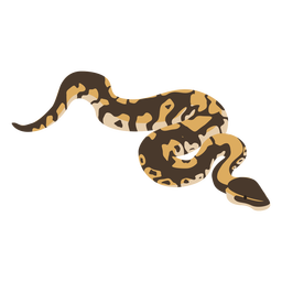 Cobra víbora projeto plano Desenho PNG
