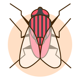 Ilustración de icono de mosca de vista superior Diseño PNG