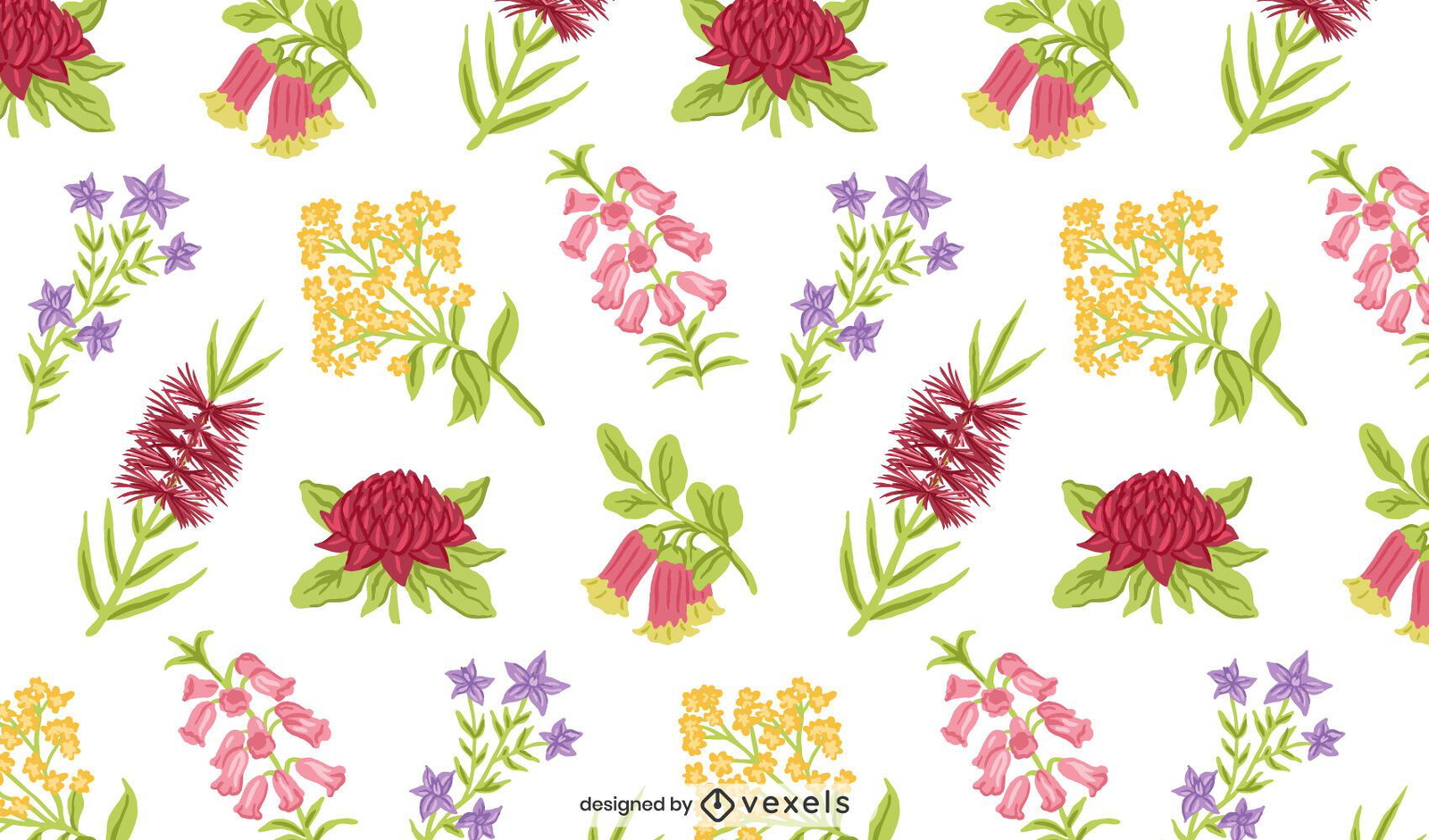 Australian native flowers nwcvq design vector download Australian native flowers nwcvq design vector download