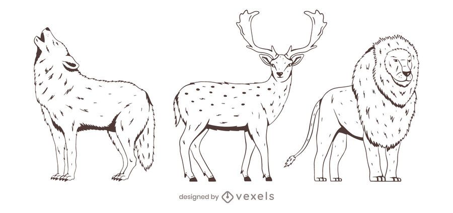 Animal hand drawn set design Animal hand drawn set design