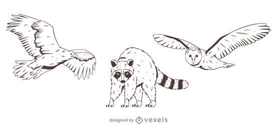 Adler und Waschbär handgezeichnetes Set