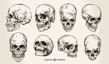Conjunto de diseño de calavera dibujada a mano