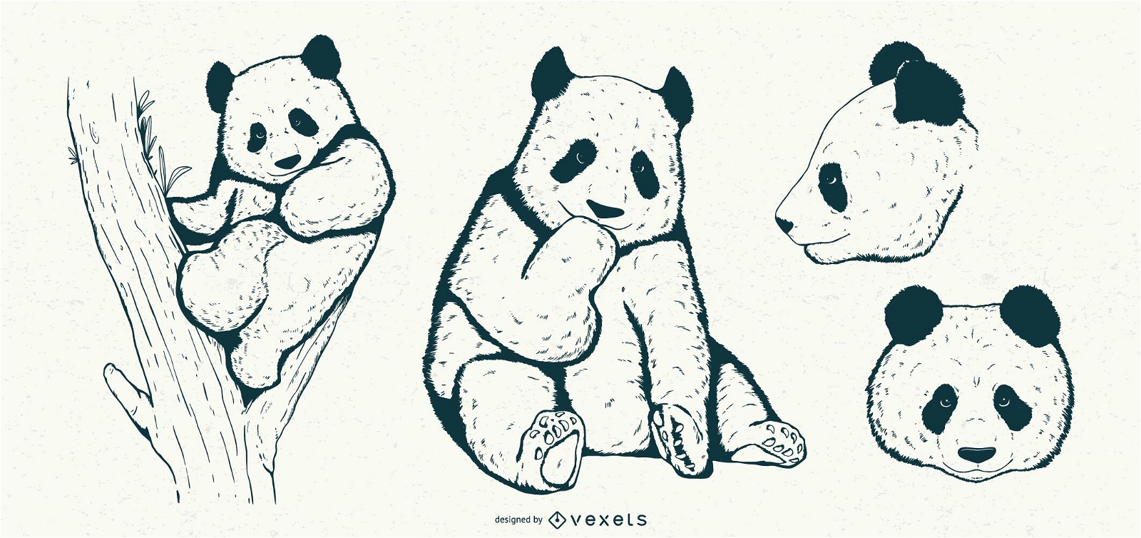 Conjunto panda dibujado a mano