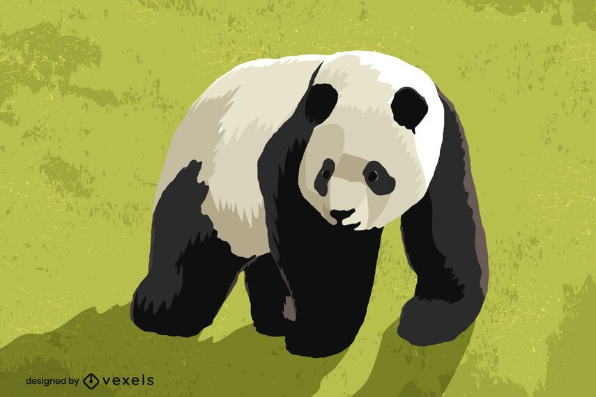Panda bear illustration design Panda bear illustration design