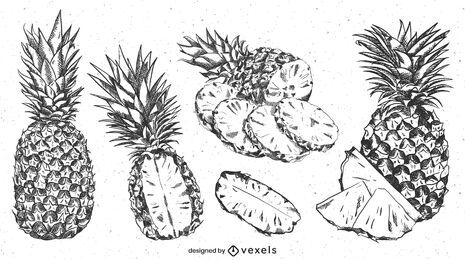 Conjunto realista de abacaxi desenhado à mão