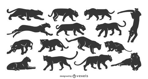 Panther silhouette collection