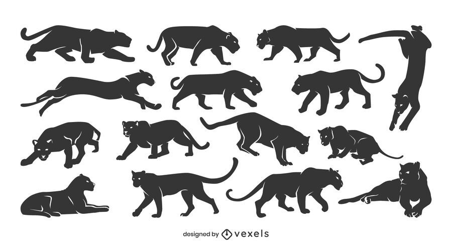 Panther silhouette collection Panther silhouette collection