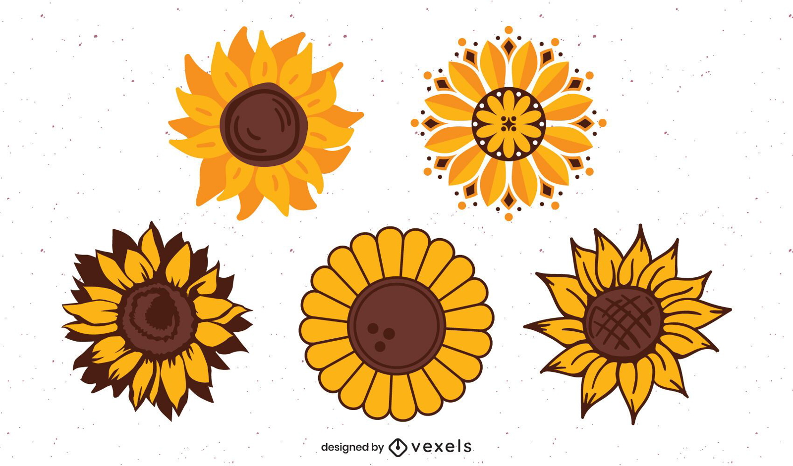 Conjunto de ejemplares de girasoles.