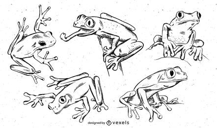 Hand gezeichneter Froschentwurfssatz Hand gezeichneter Froschentwurfssatz
