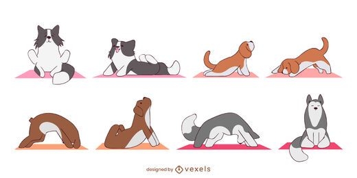 Conjunto fofo de cães de ioga