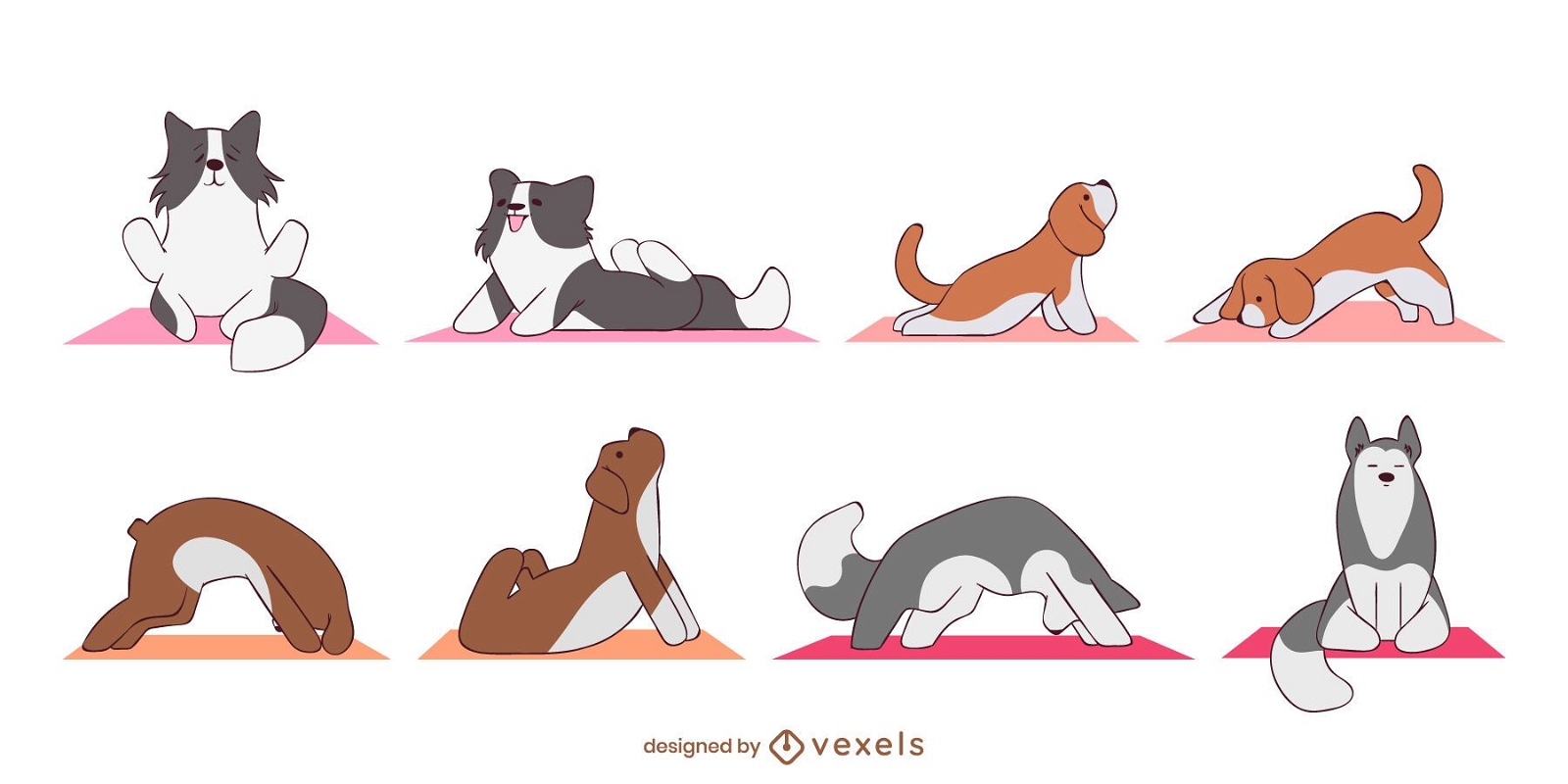 Conjunto fofo de cães de ioga