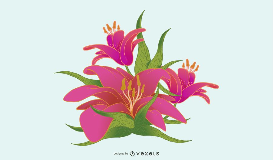 Lily Flower Vector Lily Flower Vector