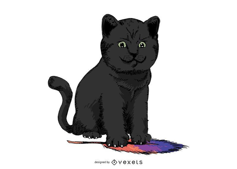 Diseño de ilustración de pluma de gato negro Diseño de ilustración de pluma de gato negro