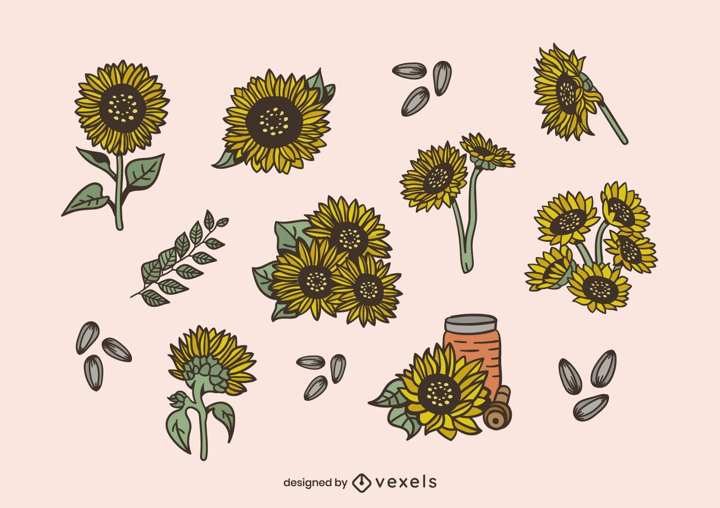 Sonnenblumen-Illustrationsdesignsatz