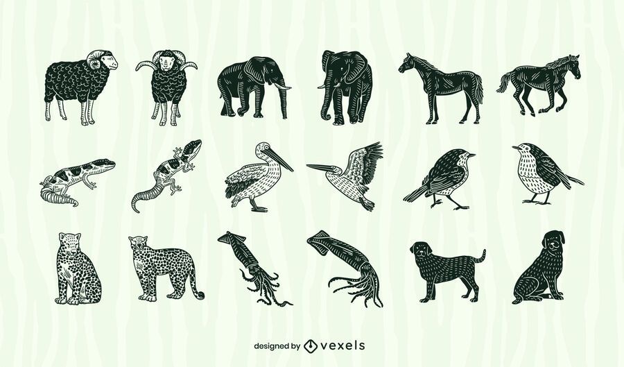 Animal cut out set Animal cut out set