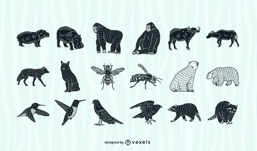 Animals cut out collection Animals cut out collection