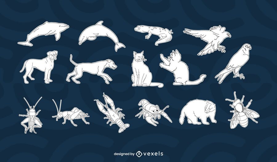 Animals white set design Animals white set design