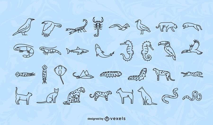Animal stroke collection design Animal stroke collection design