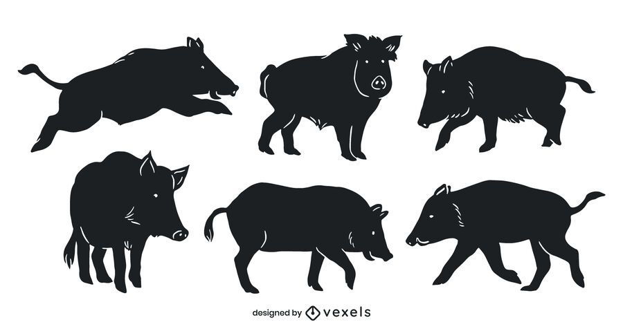Wild boar cut out set Wild boar cut out set