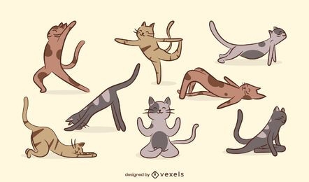 Conjunto de gato de ioga