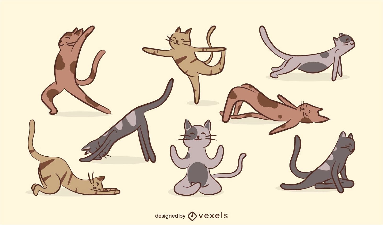 Conjunto de gato de yoga