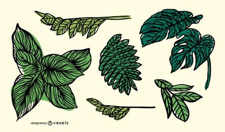 Leaves hand drawn set