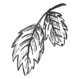 Rama de hojas dibujadas a mano Diseño PNG