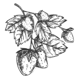 Folhas com morangos desenhados à mão Desenho PNG