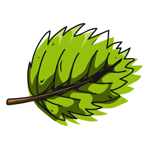 Ilustración de una sola hoja verde Diseño PNG