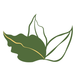 Three leaves filled stroke PNG Design