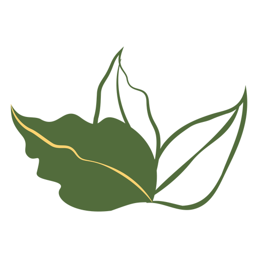 Three leaves filled stroke PNG Design