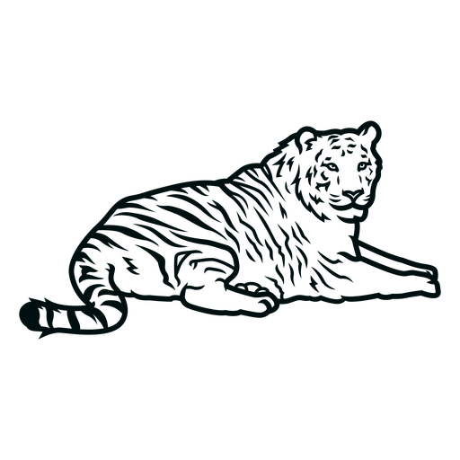 Tiger laying down stroke PNG Design