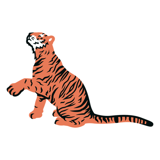 Golpe cheio de pata de tigre Desenho PNG