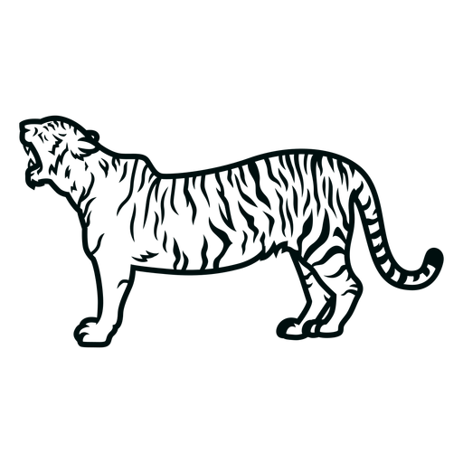 Tiger roaring stroke PNG Design