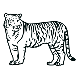 Tiger side stroke Transparent PNG
