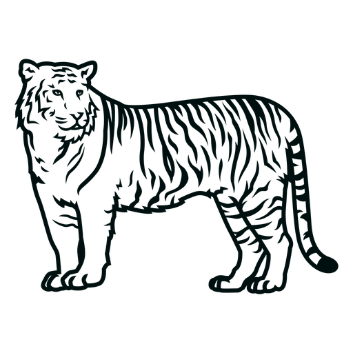 Tiger Seitenhub PNG-Design