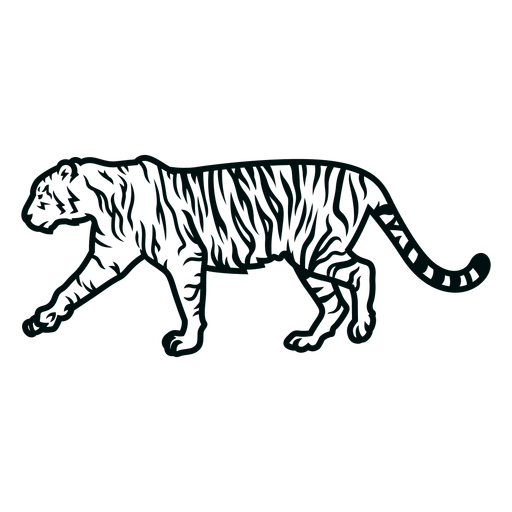 Tiger walking stroke PNG Design