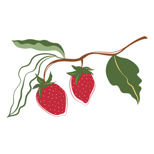 Two strawberries branch illustration PNG Design