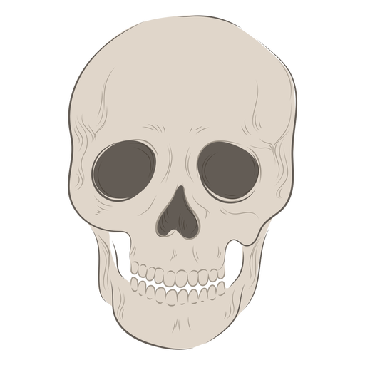 Ilustración de cráneo frontal Diseño PNG