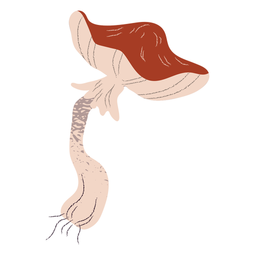 Cogumelo gigante com textura Desenho PNG