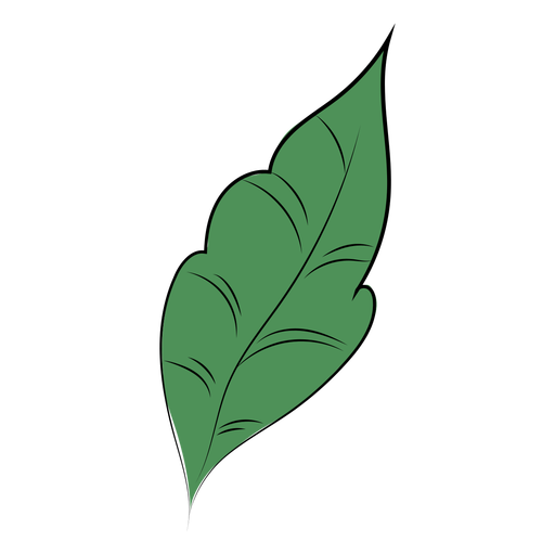 Blatt Natur flach PNG-Design