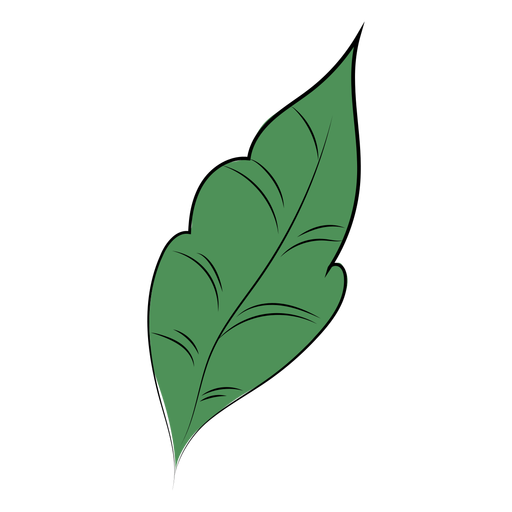 Folha natureza plana Desenho PNG