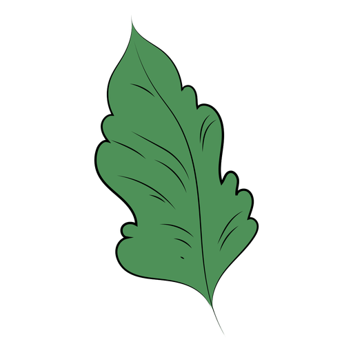 Leaf plant flat leaf