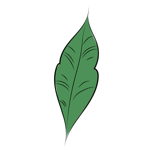 Folha plana simples Desenho PNG