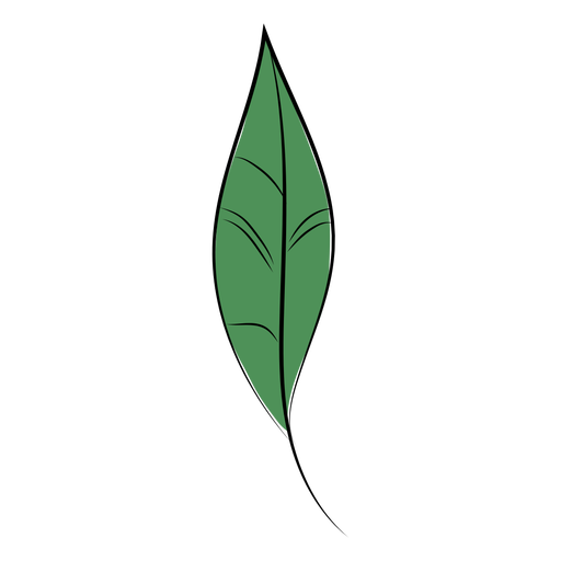 Leaf stem flat leaf PNG Design