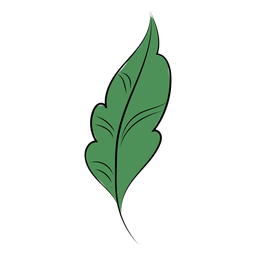 Natureza folha plana Desenho PNG